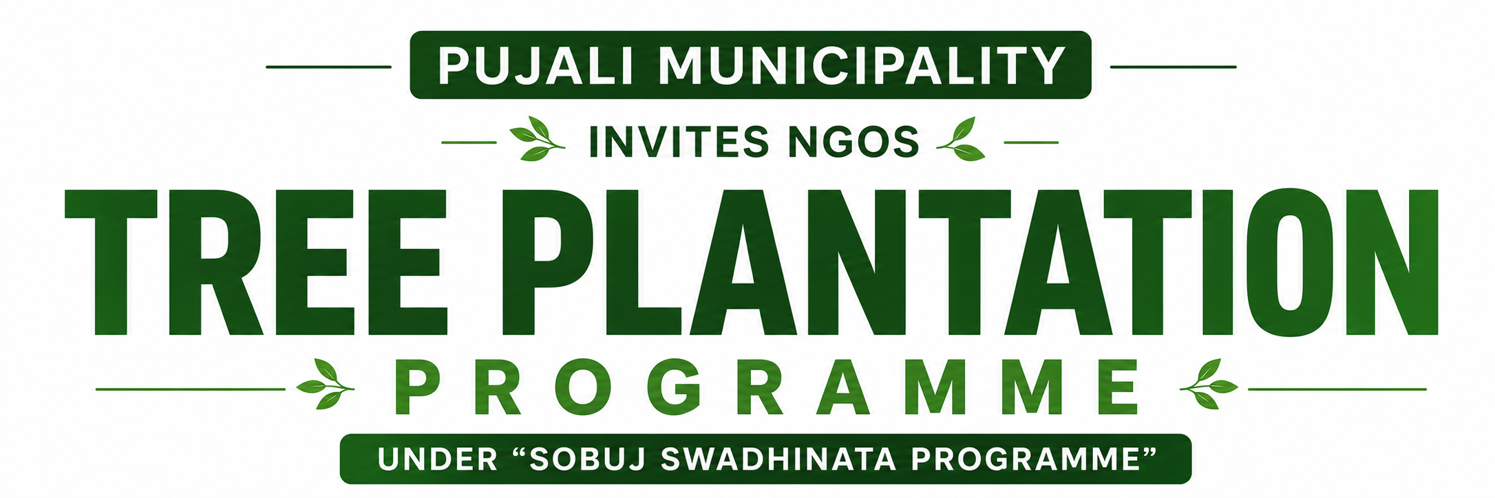 tree plantation